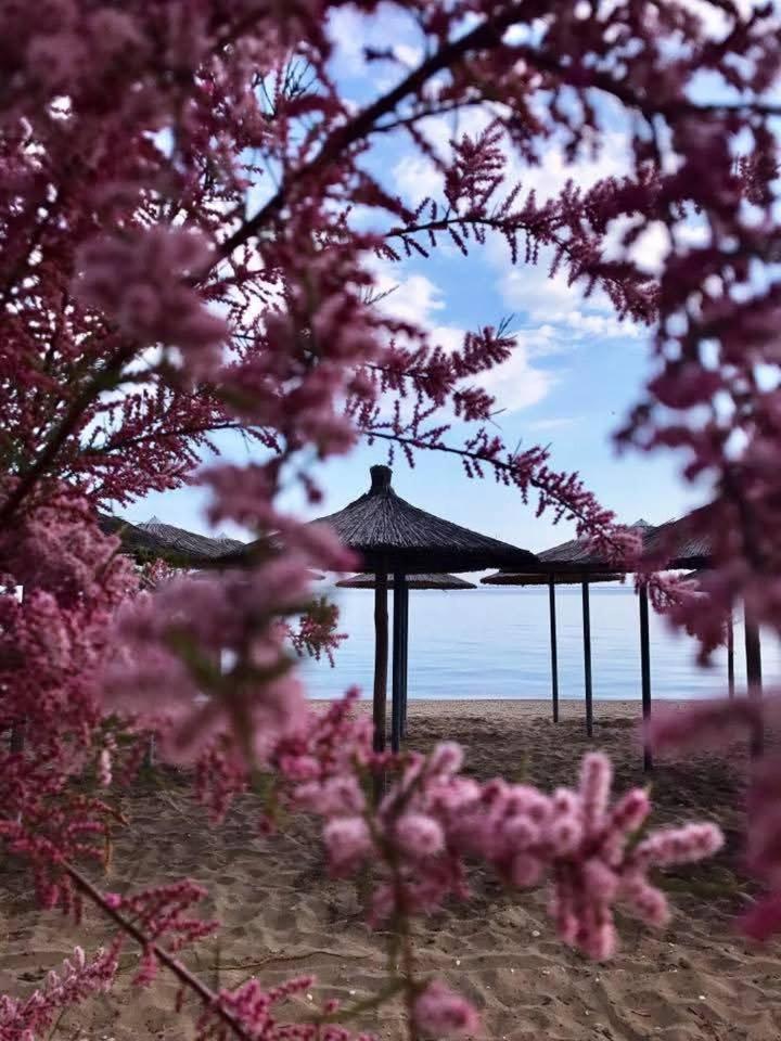 Hotel Nautilos Созополі Екстер'єр фото